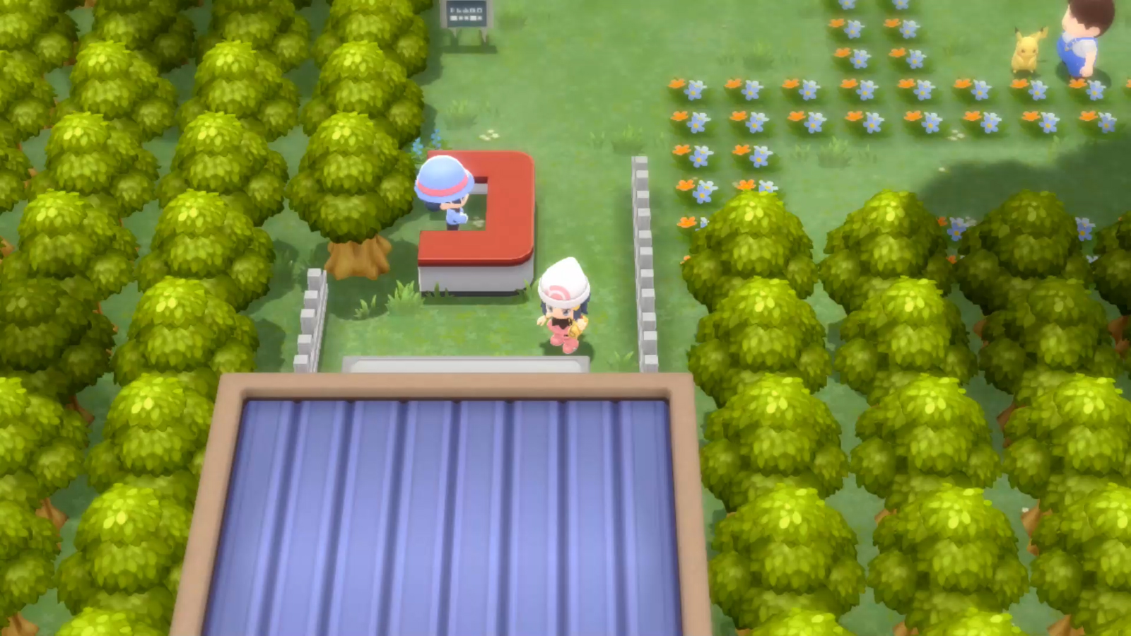 Pokemon Diamond Pearl Remakes Get Open World Areas, Online Battles