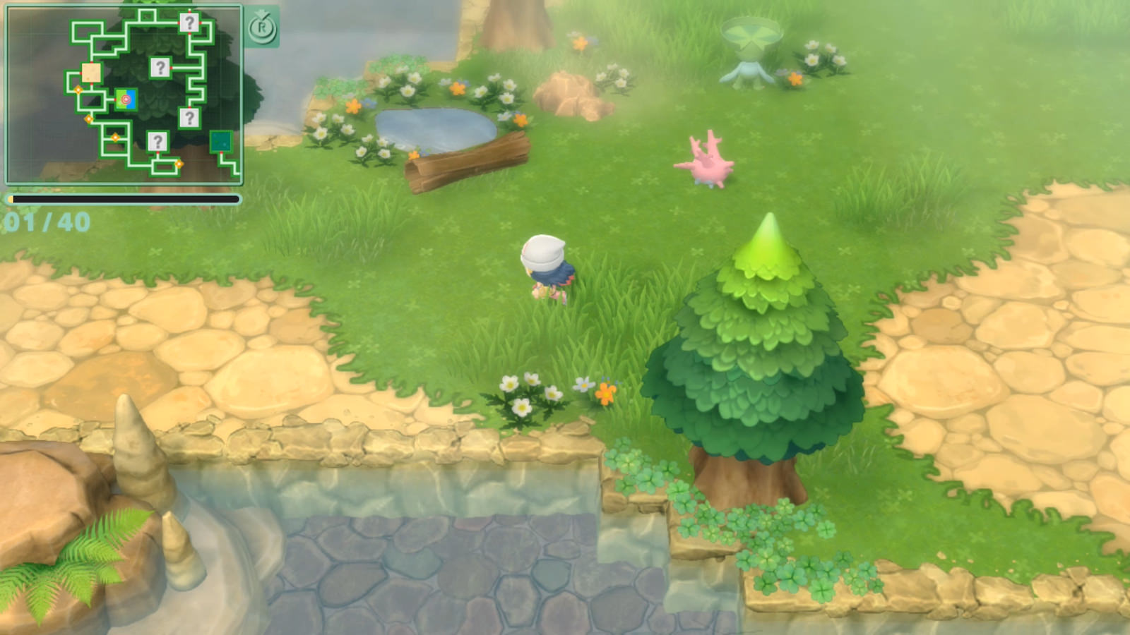 Where to Find DITTO Location in Pokemon Brilliant Diamond and Shining  Pearl 